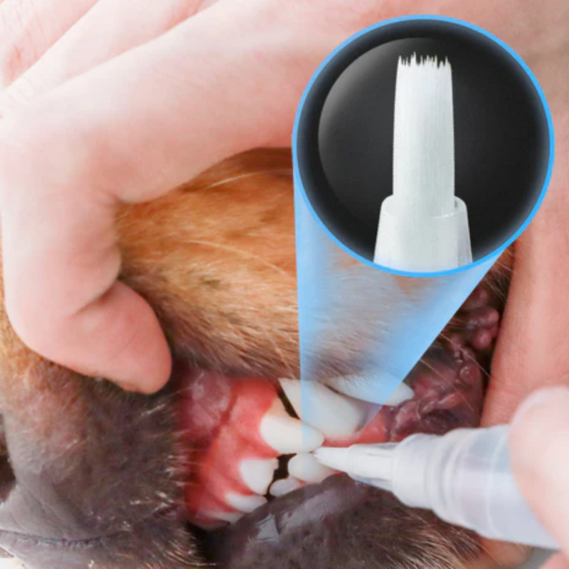 Kit de Canetas com Gel Clareador Dental para Pets