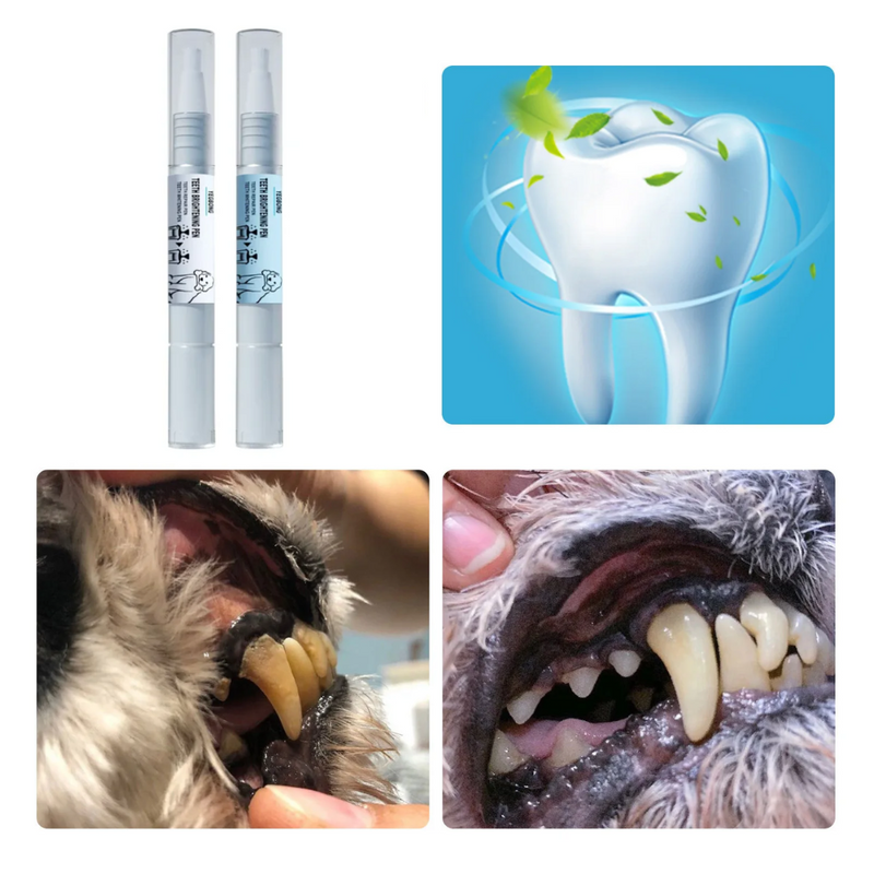 Kit de Canetas com Gel Clareador Dental para Pets