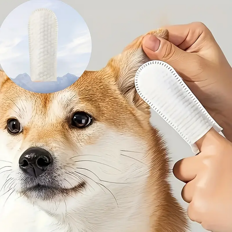 Lenços de Dedo Umedecidos para Cães
