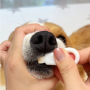 Mini Escovas de Dentes para Cães