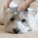 Massageador Elétrico para Pets e Tutores