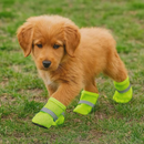 Sapatos Respiráveis Antiderrapantes para Cães