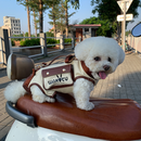 Mochila de Ombro de Couro para Cães