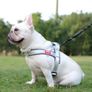 Peitoral Reforçado com Alças para Cães