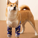 Protetores Ajustáveis de Cotovelos para Cães