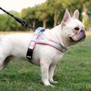 Peitoral Reforçado com Alças para Cães