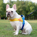 Peitoral Reforçado com Alças para Cães