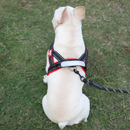 Peitoral Reforçado com Alças para Cães