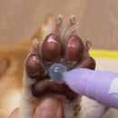 Bastão Hidratante de Patas para Cães