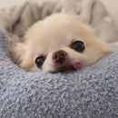 Almofada de Apoio para Cabeça para Pets