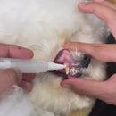 Kit de Canetas para Cuidados Bucais