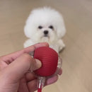 Brinquedo Bola de Caça Eletrônica para Cães