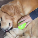 Escova a Vapor Recarregável para Pets