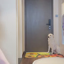 Jaqueta de Chuva Impermeável com Visor para Cães