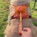 Coleira Peitoral com Guia Retrátil para Cães