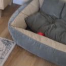 Bolinha Elétrica com Controle Remoto para Cães