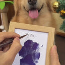 Kit Carimbo de Patas para Pets