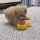 Alimentador Patinho Interativo para Cães