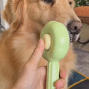 Escova Removedora de Pelos One Click