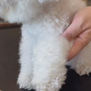 Meias Impermeáveis de Passeio para Cães