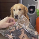 Roupinha Colete Respirável para Cães