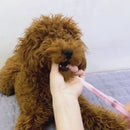 Seringa de Medicamento para Cães