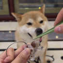 Chaveiro de Acrílico para Pelos de Cães