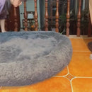 Caminha Nuvem Premium para Pets