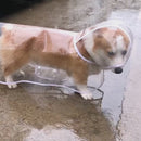 Capa de Chuva Transparente para Cães