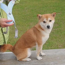 Colete Peitoral com Guia para Cães