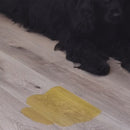 Papel Ultra Absorvente de Urina - 50 Unidades