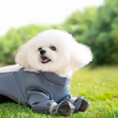 Calça Protetora Impermeável para Cães