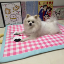 Tapete com Gel Geladinho Impermeável para Cães