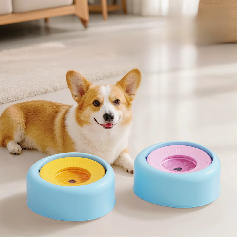 Tigela Flutuante para Hidratação de Cães